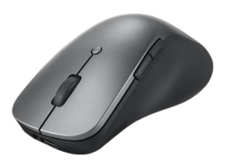 Lenovo Professional - Souris - ergonomique - bleu optique - 6 boutons - sans fil - Bluetooth 5.1 - gris orage - pour K14 Gen 1; ThinkCentre M70s Gen 3; M75t Gen 2; ThinkPad E14 Gen 3; P15v Gen 3 4Y51J62544