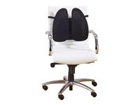 Kensington SmartFit Conform Back Rest - Dossier K60412WW