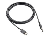 Poly - USB-C vers adaptateur de prise casque - 24 pin USB-C mâle pour mini-phone stereo 3.5 mm mâle 9C6M4AA