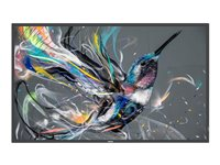 Philips 75" Q-Line 18/7 4K UHD+OPS CRD50/00 75BDL3511Q/00+CRD50/00